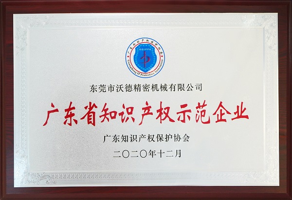廣東省知識產權示范企業